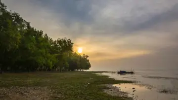 বর্ষায় অফবিট গন্তব্য: কলকাতার কাছেই পুরুলিয়ার দোলাডাঙ্গায় সোনাঝুরি জঙ্গল ও লেকের হাতছানি
