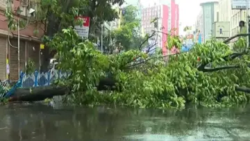 কলকাতায় তুমুল ঝড়বৃষ্টি, একাধিক রাস্তায় গাছ পড়ে বন্ধ, কমলা সতর্কতা জারি