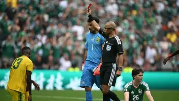 Who is Wilton Sampaio? Referee who issued three red cards in the FIFA World Cup opener between Mexico and South Africa
