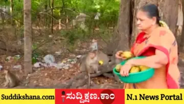 ನಿವೃತ್ತಿಯ ನಂತರವೂ ನಿಲ್ಲದ ಸೇವೆ: ಕಳೆದ 10 ವರ್ಷಗಳಿಂದ ಕೋತಿಗಳ ಹಸಿವು ನೀಗಿಸುತ್ತಿರುವ ನಿವೃತ್ತ ಮಹಿಳಾ ಪೊಲೀಸ್ ಅಧಿಕಾರಿ!