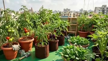 Gardening Tips: रूफ गार्डन में मिर्च से लेकर टमाटर तक 5 सब्जियां उगाएं, टेरेस में ग्रीनरी रहेगी भरपूर