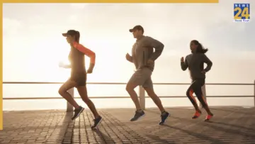 Looking for a healthy supplement? You arrived at the  right place