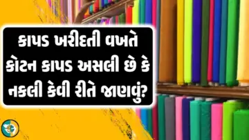 કાપડ ખરીદતી વખતે કોટન કાપડ અસલી છે કે નકલી તે કેવી રીતે જાણવું? તેને આ સરળ પદ્ધતિઓથી ઓળખો.