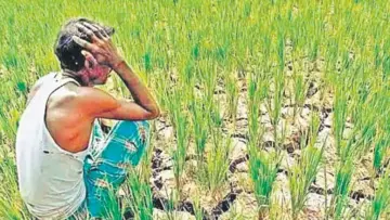 రైతు బీమా గల్లంతు