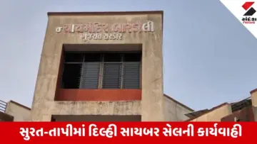 Surat: દિલ્હી પાલમ કોલોનીના 4.82 કરોડના ફેક સ્ટોક ટ્રેડિંગ ફ્રોડમાં સુરત-તાપી કનેક્શન ખુલ્યું, 4 આરોપીઓ એરેસ્ટ