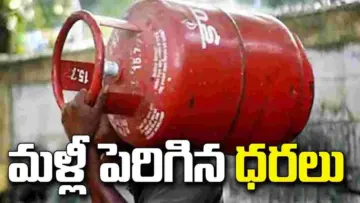 సామాన్యుడిపై మరోసారి గ్యాస్ భారం.. పెరిగిన డొమెస్టిక్ సిలిండర్ ధరలు