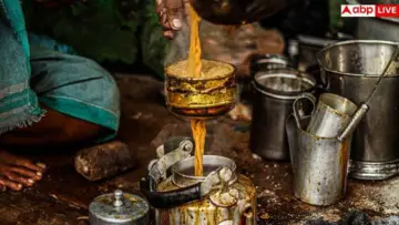 How To Clean A Tea Strainer: चाय छानते-छानते बंद हो गए हैं छलनी के छेद, ऐसे करें एकदम नई जैसी