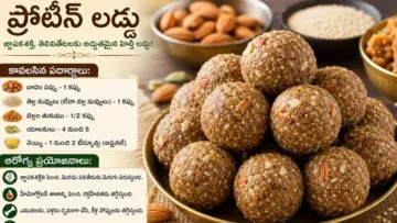 Healthy Protein Laddu: పిల్లల్లో జ్ఞాపకశక్తి, తెలివితేటలను పెంచే హెల్తీ 'ప్రోటీన్ లడ్డు'.. ఇంట్లోనే సింపుల్‌గా ఇలా చేసేయండి!
