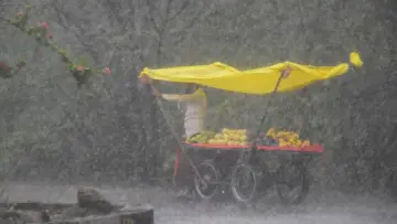 CG Weather: छत्तीसगढ़ में झमाझम बारिश का दौर जारी! 17 जिलों के लिए ऑरेंज अलर्ट