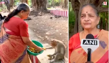 Tamilnadu : निवृत्त महिला अधिकारी माकडांच्या सहचरी