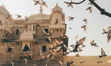 India's 2047 Ambition: Where It Will Succeed, Where It May Struggle - A Report Card