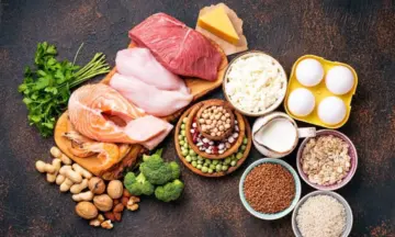 Protein Explained: Benefits, Daily Needs and Best Food Sources