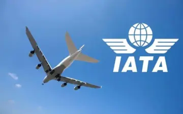 Middle East Tensions and Fuel Costs Cut Airline Profits by Half