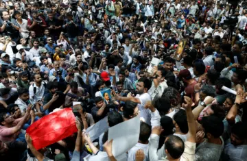 Hundreds join protest led by India's viral 'Cockroach Party'