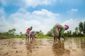 Bonn Climate Conference 2026: COP31 Presidency, FAO move to integrate food, water, adaption into national climate plans