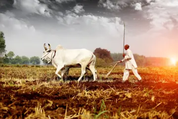 Around 200 districts flagged for El Nino impact as weak monsoon forecast puts agriculture ministry in crisis mode