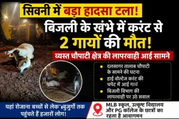 सिवनी: दलसागर चौपाटी के सामने बिजली के खंभे में दौड़ रहा था हाई वोल्टेज करंट, 2 गायों की मौत