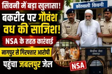 SEONI में बकरीद पर गौवंश वध की कथित साजिश! NSA के तहत बड़ी कार्रवाई, नागपुर से गिरफ्तार हामिद इंजीनियर पहुंचा जबलपुर जेल