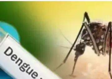 Dengue cases drop sharply in Bengaluru, but health officials stay alert