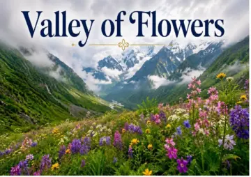 Beyond the blooms: Rare wonders hidden in Valley of Flowers