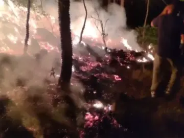 J-K: Massive fire breaks out in Katehda forest area of Rajouri district