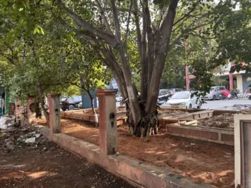 ಎಚ್‌ಎಸ್‌ಆರ್ ಲೇಔಟ್ ನಿವಾಸಿಗಳಿಗೆ ಸಿಹಿಸುದ್ದಿ: 184 ಮರಗಳ ಮಾರಣಹೋಮಕ್ಕೆ ಬ್ರೇಕ್ ಹಾಕಿದ ಬಿಡಿಎ