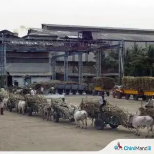 उत्तर प्रदेश : चीनी मिल पर करोड़ों का गन्ना भुगतान बकाया, किसानों ने एडीएम को सौंपा ज्ञापन