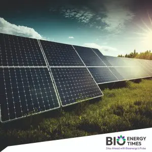 Mandatory domestic solar cell rule set to reshape industry, drive consolidation: Report