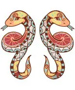 মিথুন , 14 জুন 2026