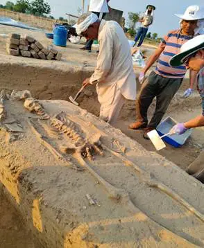 রাখিগড়ি থেকে প্রাপ্ত মানব কঙ্কাল ভারতীয় নৃতত্ত্ব সর্বেক্ষণে পাঠানো হল উন্নত বৈজ্ঞানিক গবেষণার জন্য