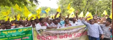 ମିଳିଲାନି ଟୋକନ, ଉଠିଲାନି ଧାନ : ତାତିଲେ ଚାଷୀ