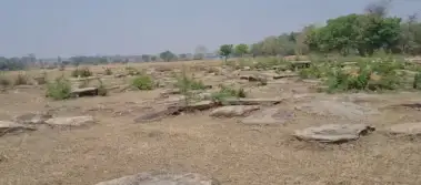Ravaged by mining, Jharkhand's megaliths have still not got their due