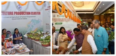 Union Minister Chouhan Lauds Odisha's Mango Varieties