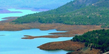 जिल्ह्यात उन्हाचा कडाका वाढला; प्रमुख धरणांत केवळ २२ टक्के पाणीसाठा शिल्लक, कोयनेत परिस्थिती चिंताजनक
