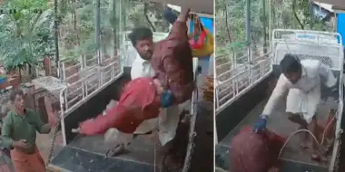 ആ' ദൈവത്തിന്റെ കരങ്ങള്‍' താങ്ങിയില്ലായിരുന്നെങ്കില്‍. തലയിടിക്കുക വാഹനത്തിന്റെ ഫ്ലോറില്‍, അല്ലെങ്കില്‍ ഗ്രില്ലില്‍!! ജോലിക്കിടെ രണ്ടാം നിലയില്‍ നിന്നു വീണ നിര്‍മാണത്തൊഴിലാളിയെ കൈകളില്‍ താങ്ങി അയല്‍വാസി രഞ്ജിഷ്