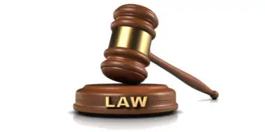 Delhi HC Backs TRAI's 12-Minute Ad Cap, Dealing Major Blow to TV Broadcasters