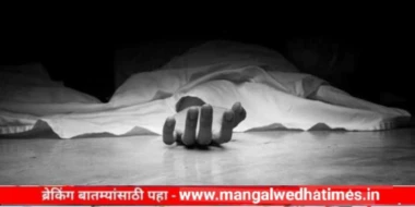 भयंकर! लग्नाला विरोध केल्याने मुलगा संतापला, आईला जिवंत जाळलं; पोलिसांकडून आरोपी मुलाला अटक