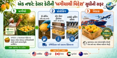 લંડન હીથ્રો એરપોર્ટ ગુજરાતની કેસરની સુગંધથી મહેક્યું: સાત સમંદર પાર ગુજરાતી કેરીનો દબદબો