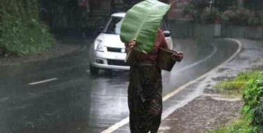 കാലവര്‍ഷം നാളെയില്ല; മൂന്ന് ജില്ലകളിലെ മഴ മുന്നറിയിപ്പ് പിൻവലിച്ചു; ആറ് ജില്ലകളില്‍ യെല്ലോ അലേര്‍ട്ട്
