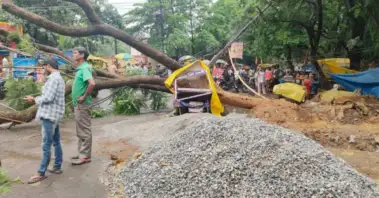 तेज बारिश और आंधी के बीच हाई-टेंशन लाइन पर गिरा विशाल पेड़, डोरंडा समेत कई इलाकों की बिजली ठप