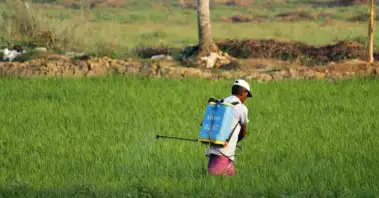 कीटनाशक पर प्रतिबंध से किसान आत्महत्याएं नहीं रुकेंगी: क्रॉपलाइफ इंडिया