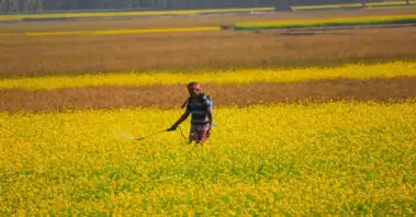 किसानों पर बढ़ती लागत की जताई आशंका, पीएमएफएआई ने पेस्टिसाइड मैनेजमेंट बिल में डेटा प्रोटेक्शन प्रावधान का किया विरोध