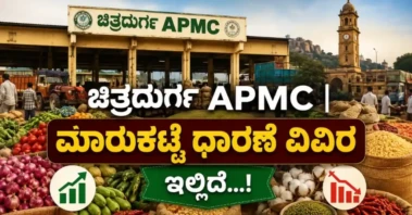 ಚಿತ್ರದುರ್ಗ | 25.05.26 ರ ಎಪಿಎಂಸಿ ಮಾರುಕಟ್ಟೆ ಧಾರಣೆ : ಯಾವ ಬೆಳೆಗೆ ಎಷ್ಟು ಬೆಲೆ? ಸಂಪೂರ್ಣ ಮಾಹಿತಿ..!