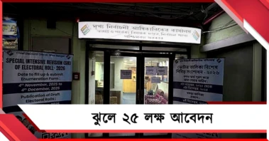 নিষ্পত্তির হার মাত্র ০.২৬ শতাংশ! ট্রাইবুনালে ঝুলে ২৫ লক্ষ আবেদন