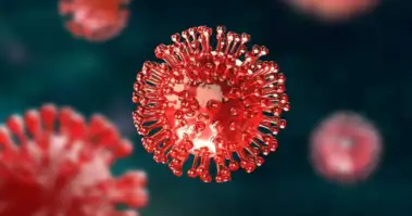 What is the 'vomit bug'? Everything to know about the norovirus surge in the US