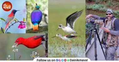 मावळातील आंतरराष्ट्रीय ख्यातीचे वन्यजीव छायाचित्रकार अभय केवट यांचा भीमपराक्रम ! १००६ पक्ष्यांचे छायाचित्रीकरण केले पूर्ण