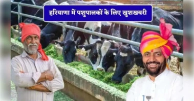 हरियाणा में मुख्यमंत्री नायब सैनी की पशुपालकों को बड़ी सौगात: 30 मिनट में घर पहुंचेगी 'पशु चिकित्सा मोबाइल वैन'
