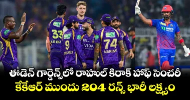 ఈడెన్ గార్డెన్స్‌లో రాహుల్ కిరాక్ హాఫ్ సెంచరీ.. కేకేఆర్ ముందు 204 రన్స్ భారీ లక్ష్యం..