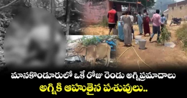 మానకొండూరులో ఒకే రోజు రెండు అగ్నిప్రమాదాలు... అగ్నికి ఆహుతైన పశువులు..