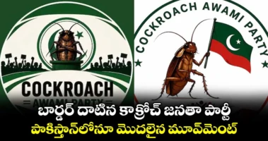 బార్డర్ దాటిన కాక్రోచ్ జనతా పార్టీ.. పాకిస్తాన్⁭లోనూ మొదలైన మూవ్⁭మెంట్..